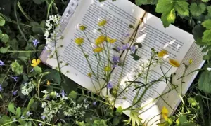 Najlepsze lekkie książki na wieczór: 6 relaksujących propozycji