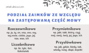 Podział zaimków ze względu na zastępowaną część mowy: rzeczownikowe (ja, ty), przymiotnikowe (jaki, mój), liczebnikowe (ile) i przysłówkowe (jak, gdzie).