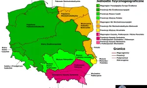 Mapa Polski z podziałem na jednostki fizycznogeograficzne. Widać tu sąsiedzi polski, jak Wyżyna Lubelsko-Lwowska i Podkarpacie Północne.