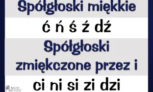 Spółgłoski miękkie: ć, ń, ś, ź, dź. Spółgłoski zmiękczone przez i: ci, ni, si, zi, dzi.