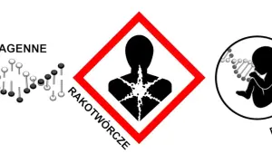 Stanowisko pracy symbol 21: mutagenne, rakotwórcze, reprotoksyczne. Uważaj na zdrowie!