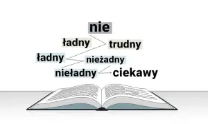 Diagram pokazuje, jak słowo "nie" może być pisane razem lub osobno z innymi słowami, tworząc nowe znaczenia.
