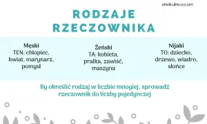 Rodzaje rzeczownika: męski (ten), żeński (ta), nijaki (to). Przykłady: chłopiec, kobieta, dziecko.