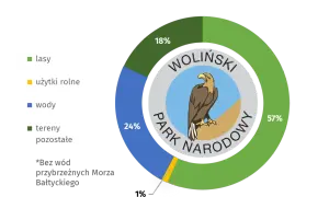 Dlaczego bielik jest symbolem Wolińskiego Parku Narodowego i jego znaczenie