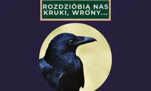 Czarny kruk patrzy w bok, a nad nim napis: "Rozdziobią nas kruki, wrony...".