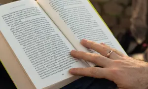 Krótkie streszczenie: Drapanie przynosi ulgę, aktywuje ośrodki nagrody w mózgu, a nawet może poprawić samopoczucie.