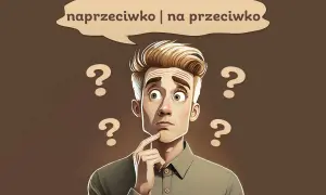 Zastanawiam się, czy naprzeciwko, czy na przeciwko. Wokół głowy pytania.