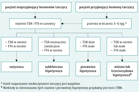 Schemat diagnostyki niedoczynności tarczycy, która może prowadzić do kretynizmu. Analiza TSH i FT4 w surowicy.