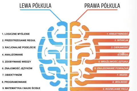 Prawa półkula mózgu odpowiada za kreatywność, intuicję, ciekawość, wrażliwość i rozwijanie pasji.