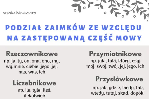 Podział zaimków ze względu na zastępowaną część mowy: rzeczownikowe (ja, ty), przymiotnikowe (jaki, mój), liczebnikowe (ile) i przysłówkowe (jak, gdzie).
