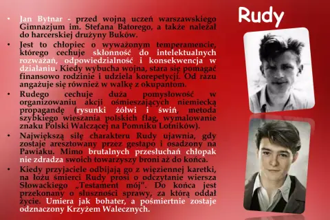 Rudy, bohater "Kamieni na szaniec", młody, odważny, oddany sprawie.