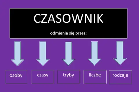 Diagram wyjaśnia, jak odmienia się czasownik: przez osoby, czasy, tryby, liczbę i rodzaje.