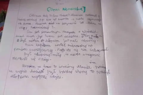 Zapisany ręcznie tekst o bohaterze książki "Chłopcy z Placu Broni" - Nemeczku.