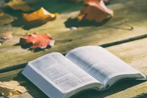 Nieznane cytaty z Biblii: 10 wersetów, które Cię zaskoczą