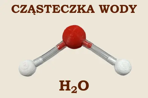 Model cząsteczki wody H₂O. Czerwona kula symbolizuje atom tlenu, a dwie białe atomy wodoru połączone są z nią pod kątem.