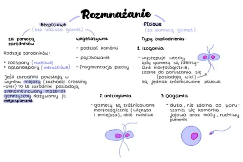 Rozmnażanie bezpłciowe (zarodniki, wegetatywne) i płciowe (izogamia, anizogamia, oogamia). Mejoza tworzy mejosporami.