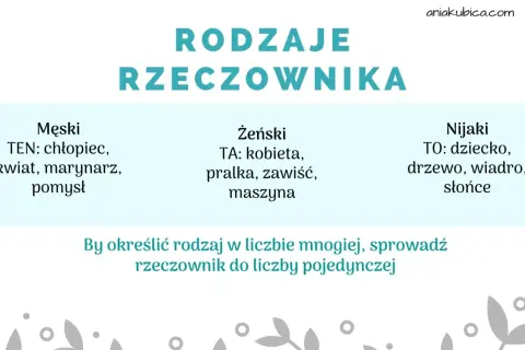Rodzaje rzeczownika: męski (ten), żeński (ta), nijaki (to). Przykłady: chłopiec, kobieta, dziecko.