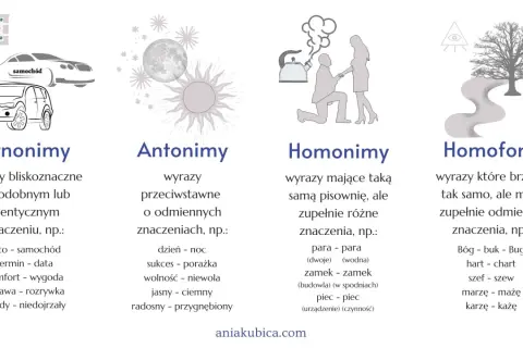 Ilustracja wyjaśnia pojęcia językowe: synonimy, antonimy, homonimy i homofony. Homonimy to wyrazy o tej samej pisowni, ale różnych znaczeniach, np. zamek.