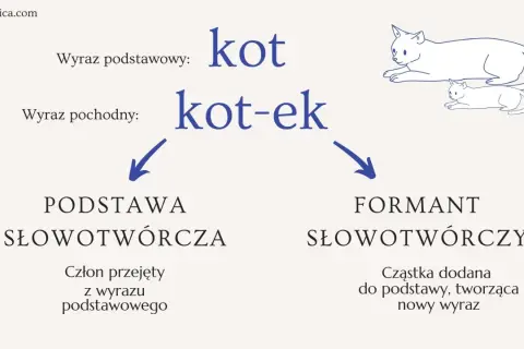 Wyraz "kot-ek" powstaje przez dodanie przyrostka "-ek" do podstawy "kot".