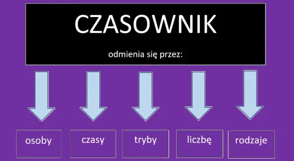 Diagram wyjaśnia, jak odmienia się czasownik: przez osoby, czasy, tryby, liczbę i rodzaje.