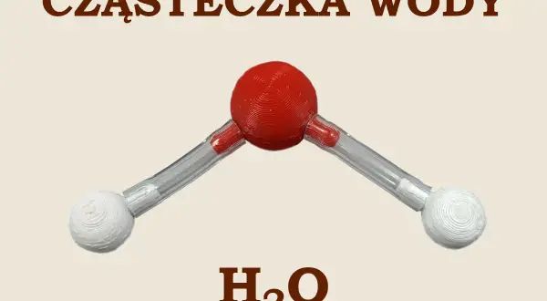 Model cząsteczki wody H₂O. Czerwona kula symbolizuje atom tlenu, a dwie białe atomy wodoru połączone są z nią pod kątem.