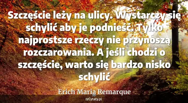 Kto się nie spodziewa - cytat Remarque'a o rozczarowaniach