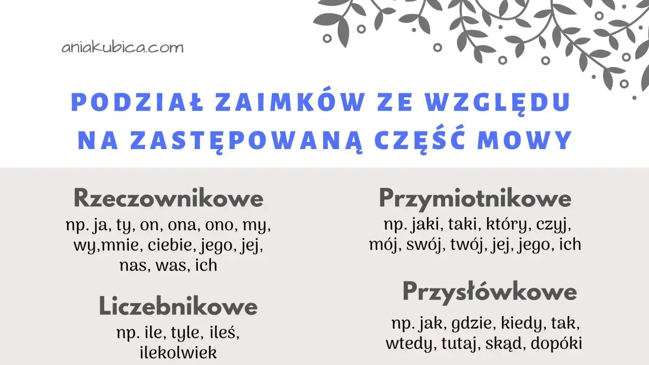 Podział zaimków ze względu na zastępowaną część mowy: rzeczownikowe (ja, ty), przymiotnikowe (jaki, mój), liczebnikowe (ile) i przysłówkowe (jak, gdzie).