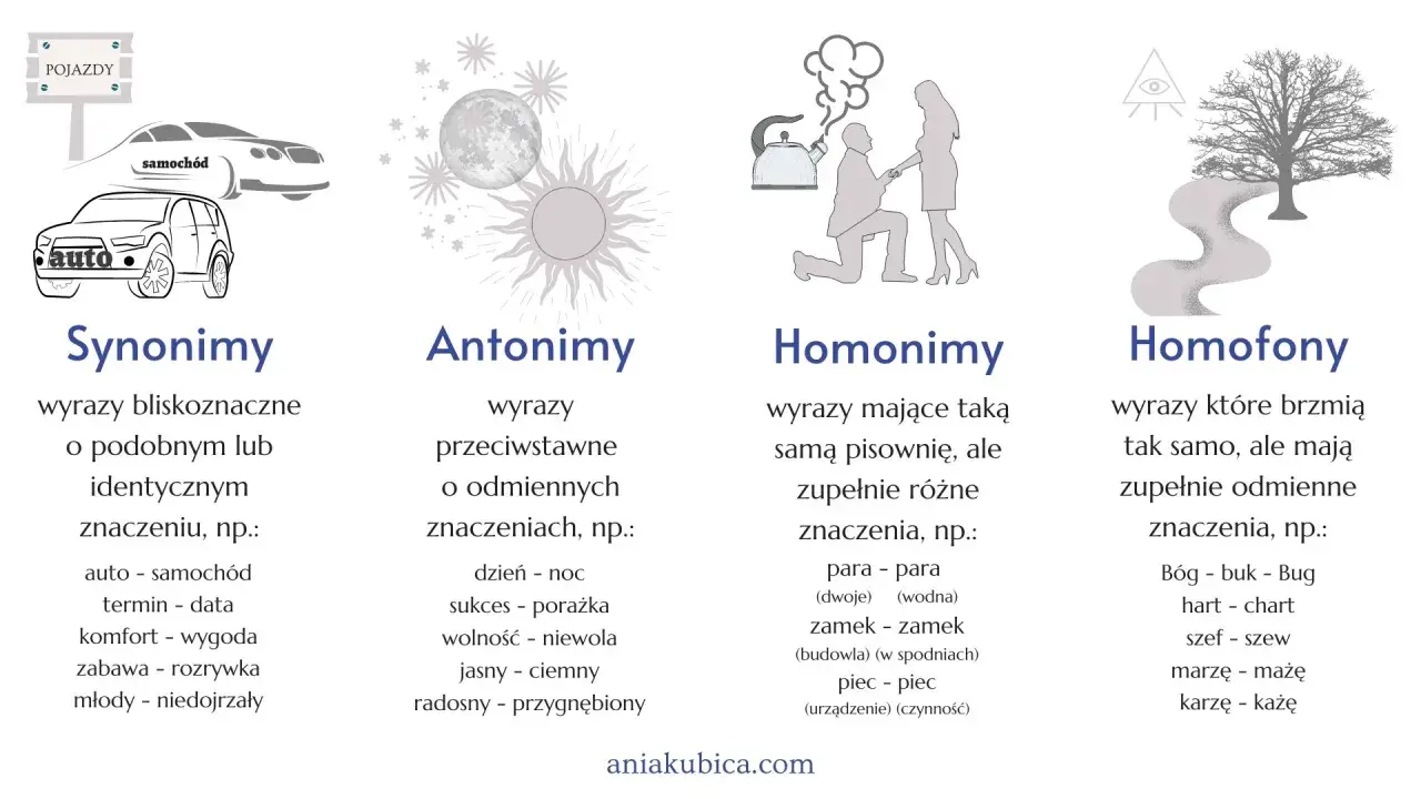 Ilustracja wyjaśnia pojęcia językowe: synonimy, antonimy, homonimy i homofony. Homonimy to wyrazy o tej samej pisowni, ale różnych znaczeniach, np. zamek.