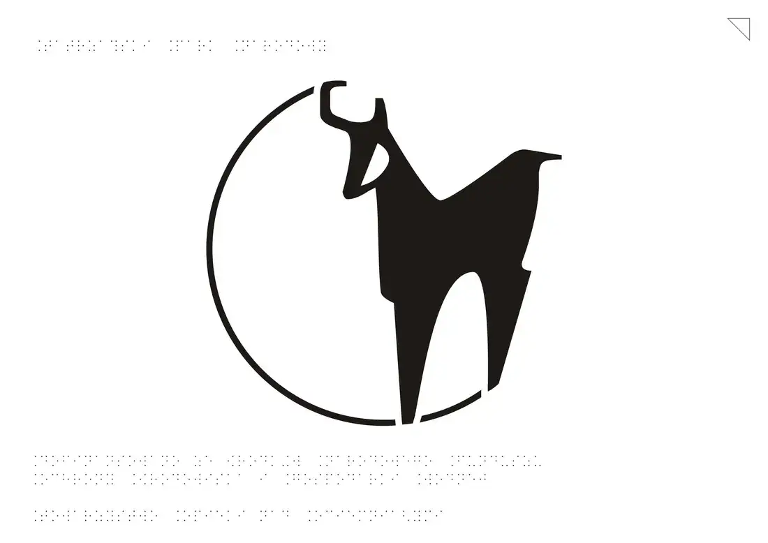 Zdjęcie Kozica tatrzańska – fascynujący symbol Tatrzańskiego Parku Narodowego