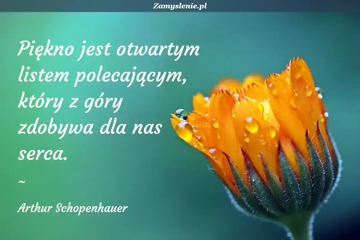 Piękno jest otwartym listem polecającym, który z góry zdobywa dla nas serca. Cytaty o sztuce i pięknie od Arthura Schopenhauera.