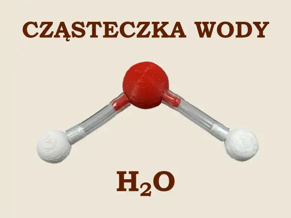 Model cząsteczki wody H₂O. Czerwona kula symbolizuje atom tlenu, a dwie białe atomy wodoru połączone są z nią pod kątem.