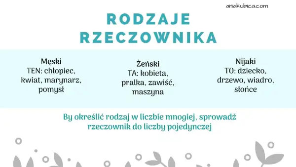 Rodzaje rzeczownika: męski (ten), żeński (ta), nijaki (to). Przykłady: chłopiec, kobieta, dziecko.