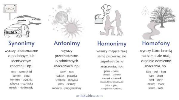 Ilustracja wyjaśnia pojęcia językowe: synonimy, antonimy, homonimy i homofony. Homonimy to wyrazy o tej samej pisowni, ale różnych znaczeniach, np. zamek.