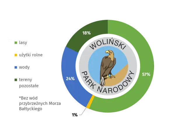 Dlaczego bielik jest symbolem Wolińskiego Parku Narodowego i jego znaczenie