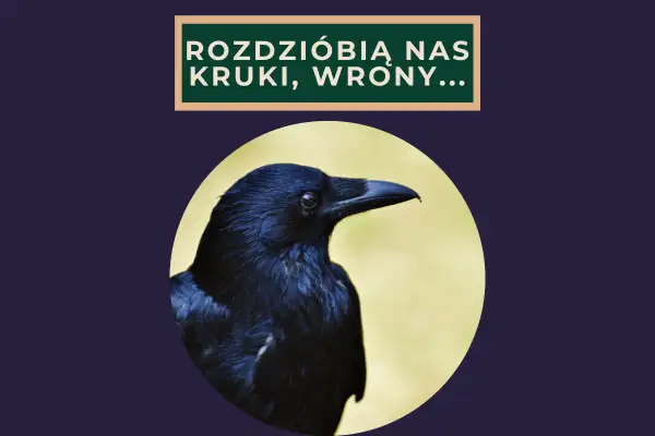 Czarny kruk patrzy w bok, a nad nim napis: "Rozdziobią nas kruki, wrony...".